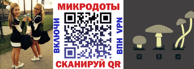 Галлюциногенные грибы мицелий  OMG ссылка  Николаевск  цены наркотик 